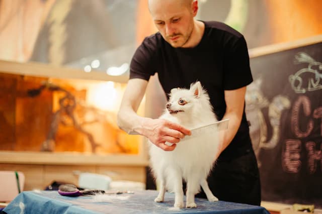 Hundesalons & mehr